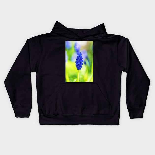 Single blue grape hyacinth Kids Hoodie by RosNapier